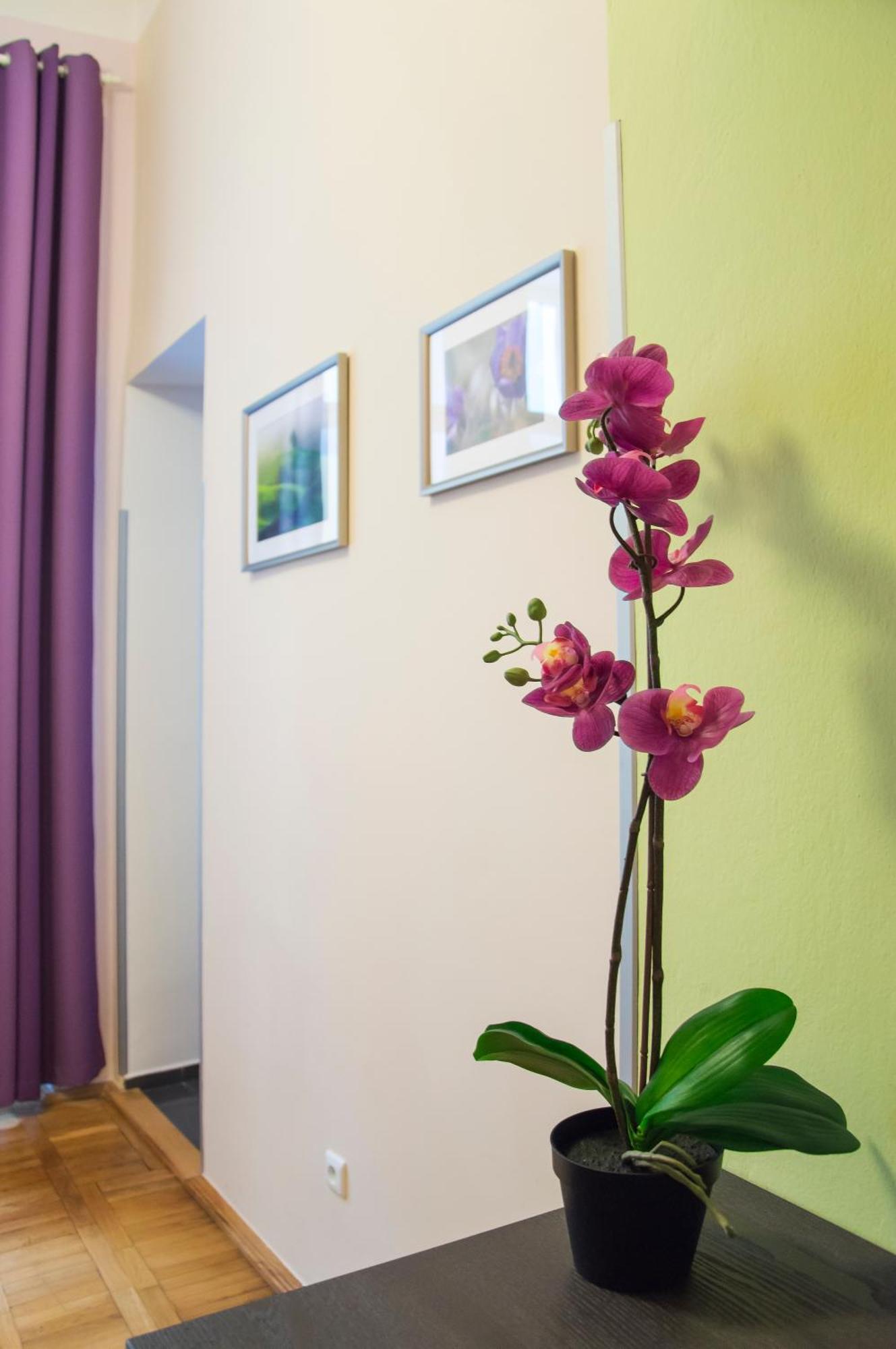 Apartment Jindrisska 25 Prag Eksteriør billede